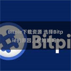 Bitpie下载资源 选择Bitpie的原因，你知道吗？