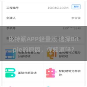 比特派APP轻量版 选择Bitpie的原因，你知道吗？