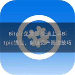 Bitpie免费版 快速上手Bitpie钱包，多链资产管理技巧