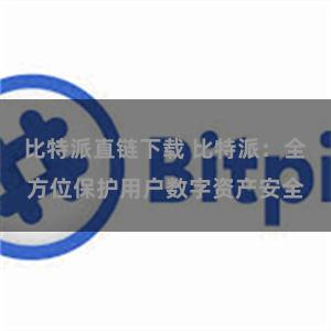 比特派直链下载 比特派：全方位保护用户数字资产安全