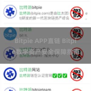 Bitpie APP直链 Bitpie数字资产安全保障指南