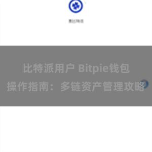 比特派用户 Bitpie钱包操作指南：多链资产管理攻略