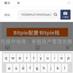 Bitpie配置 Bitpie钱包操作指南：多链资产管理攻略