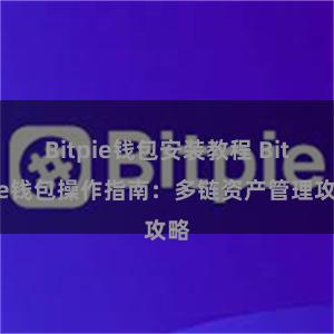 Bitpie钱包安装教程 Bitpie钱包操作指南：多链资产管理攻略