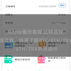 Bitpie备份教程 比特派钱包转账教程详解，快速了解BTC/ETH/TRX转账操作