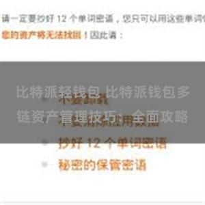 比特派轻钱包 比特派钱包多链资产管理技巧：全面攻略