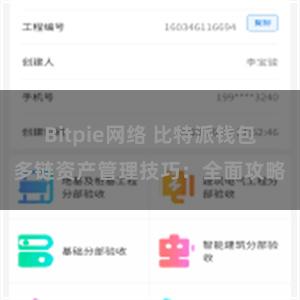 Bitpie网络 比特派钱包多链资产管理技巧：全面攻略