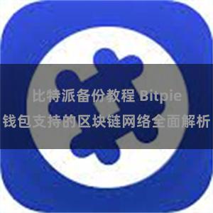 比特派备份教程 Bitpie钱包支持的区块链网络全面解析