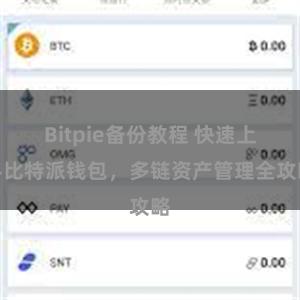 Bitpie备份教程 快速上手比特派钱包，多链资产管理全攻略