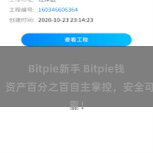 Bitpie新手 Bitpie钱包：资产百分之百自主掌控，安全可靠！