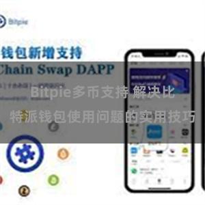 Bitpie多币支持 解决比特派钱包使用问题的实用技巧