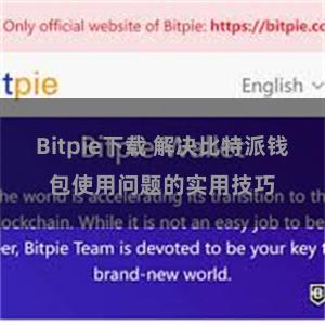 Bitpie下载 解决比特派钱包使用问题的实用技巧