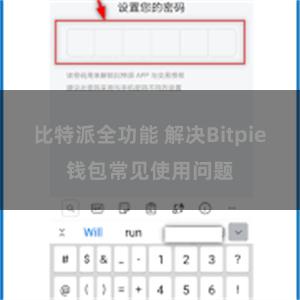 比特派全功能 解决Bitpie钱包常见使用问题