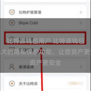 比特派钱包用户 比特派钱包：强大的隐私保护功能，让您资产更安全