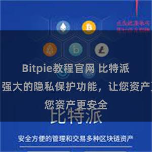 Bitpie教程官网 比特派钱包：强大的隐私保护功能，让您资产更安全