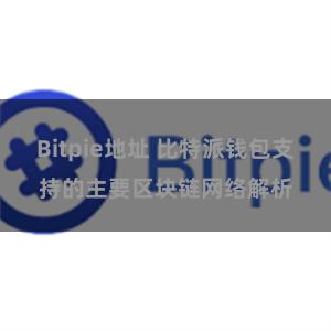 Bitpie地址 比特派钱包支持的主要区块链网络解析