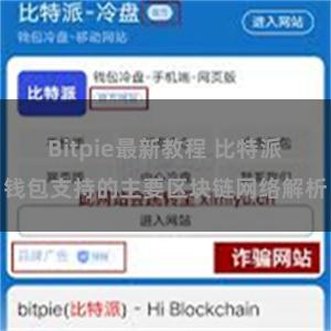 Bitpie最新教程 比特派钱包支持的主要区块链网络解析