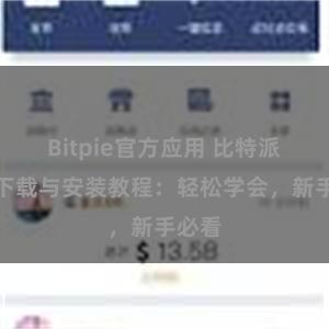 Bitpie官方应用 比特派钱包下载与安装教程：轻松学会，新手必看