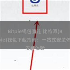 Bitpie钱包直连 比特派(Bitpie)钱包下载指南：一站式安装体验