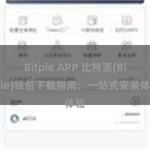 Bitpie APP 比特派(Bitpie)钱包下载指南：一站式安装体验