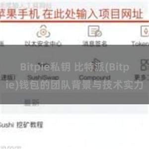 Bitpie私钥 比特派(Bitpie)钱包的团队背景与技术实力