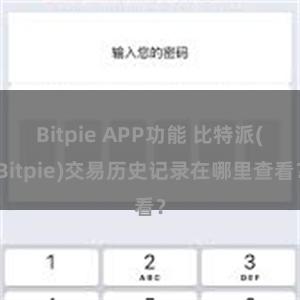 Bitpie APP功能 比特派(Bitpie)交易历史记录在哪里查看？