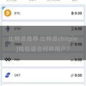 比特派推荐 比特派(Bitpie)钱包适合何种用户？