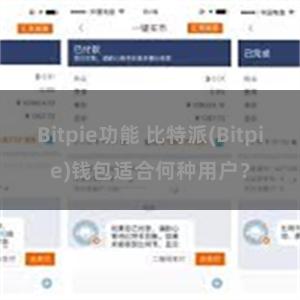 Bitpie功能 比特派(Bitpie)钱包适合何种用户？