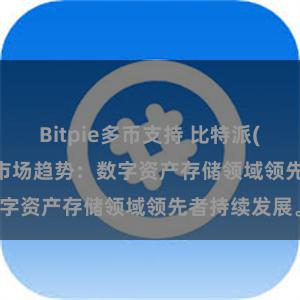 Bitpie多币支持 比特派(Bitpie)钱包市场趋势：数字资产存储领域领先者持续发展。