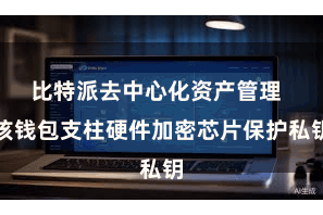 比特派去中心化资产管理  该钱包支柱硬件加密芯片保护私钥