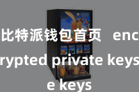 比特派钱包首页   encrypted private keys