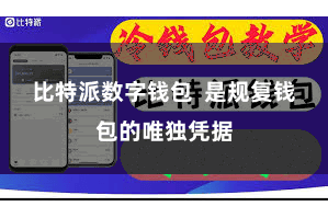 比特派数字钱包  是规复钱包的唯独凭据