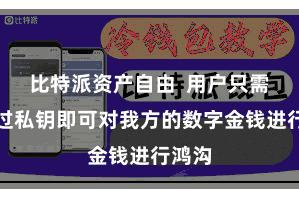 比特派资产自由  用户只需要通过私钥即可对我方的数字金钱进行鸿沟